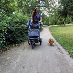 Een vrouw loopt met haar hond en de hondenwandelwagen met luchtbanden