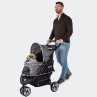 Small shih tzu dog in Dog stroller InnoPet Allure Onyx with fun design