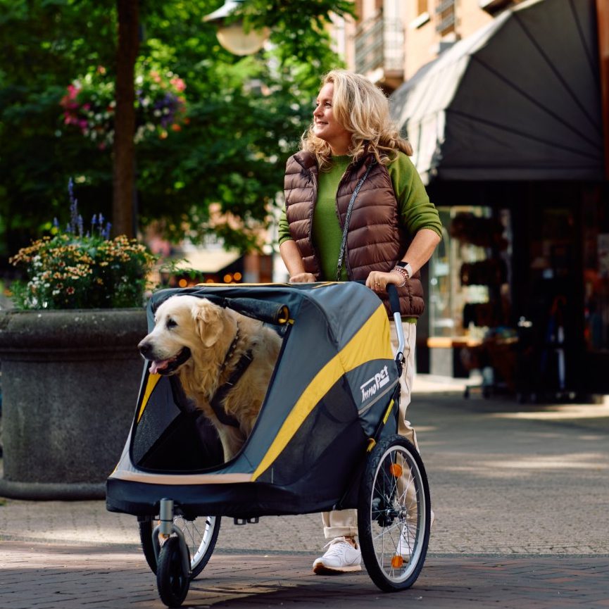 en_InnoPet - Zoek een winkel - Vrouw met buggy