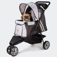 Shih Tzu dog in InnoPet All Terrain Dog Stroller