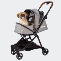 Small dog in compact folding InnoPet City Buggy Dog Stroller