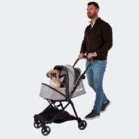 Kleine hond in compacte opvouwbare InnoPet City Buggy Hondenbuggy