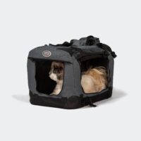 Small travel crate for small dogs