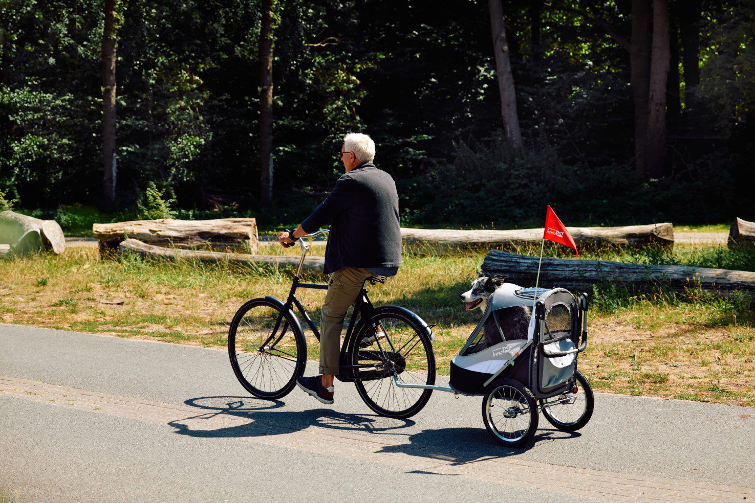 Ready to take your furry friend on a bike ride? Here is how to do it.