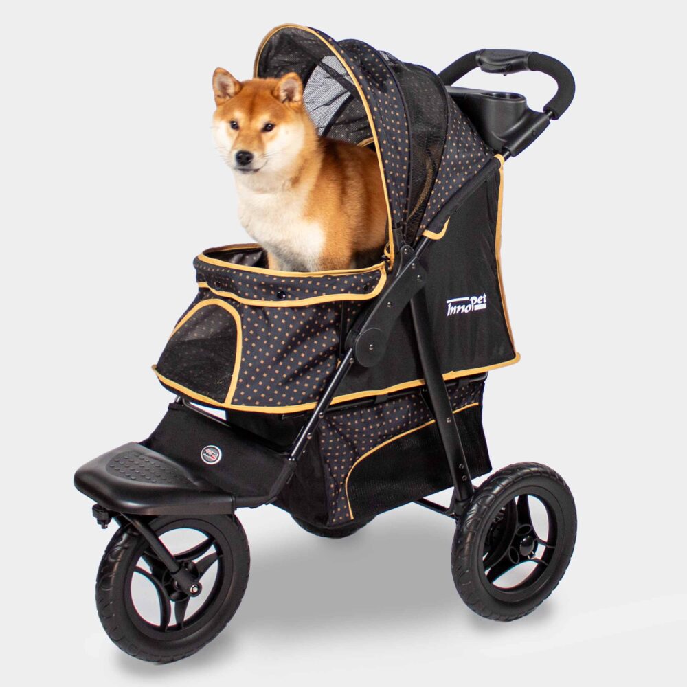 innopet-hondenbuggy-adventure-hond