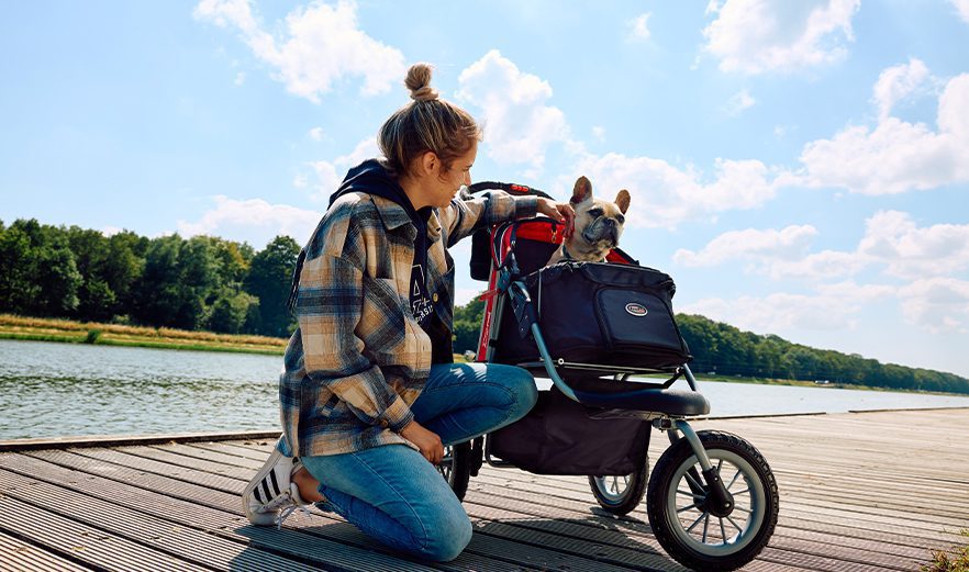 8 Steps: let your dog get used to a dog stroller