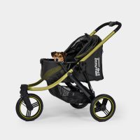 Kleine hond kijkt uit de InnoPet Premium Comfort hondenbuggy in zwart.