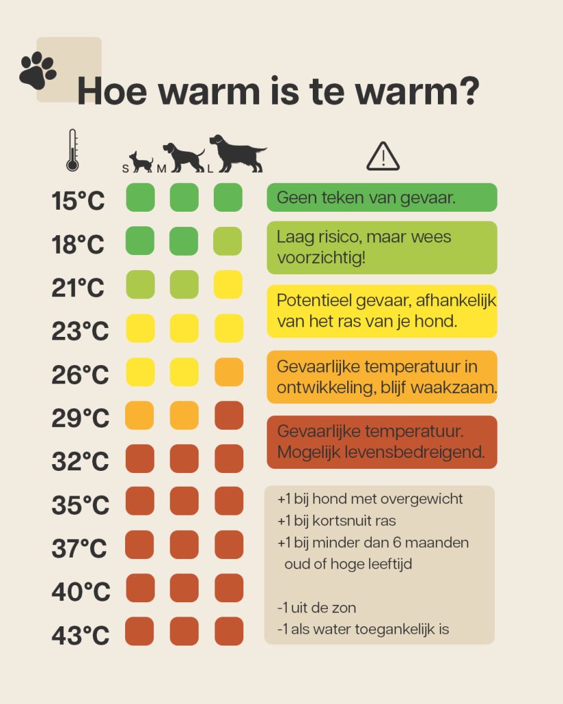 Warm weer kan gevaarlijk zijn voor je hond. In dit schema lees je af welke temperatuur gevaarlijk is voor jouw hond.