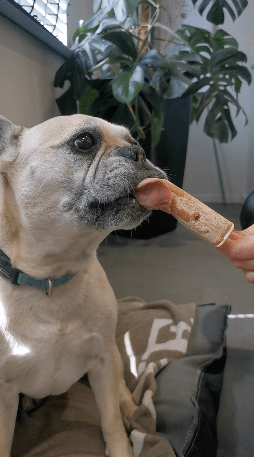 Easy 3 ingredient dog ice cream recipe