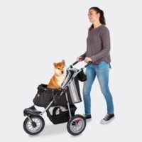 InnoPet Comfort EFA Dog Stroller colour black with sheba and dog owner