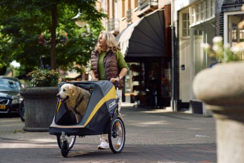 Dog prams