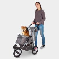 Shiba hond in hondenbuggy met luchtbanden - Shiba dog in dog wagon with pneumatic tyres