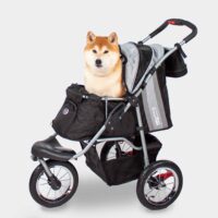 Medium sized dog in pet wagon with air tyres