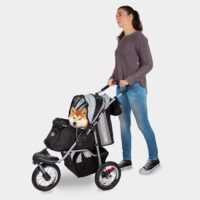Medium sized dog in pet wagon with air tyres