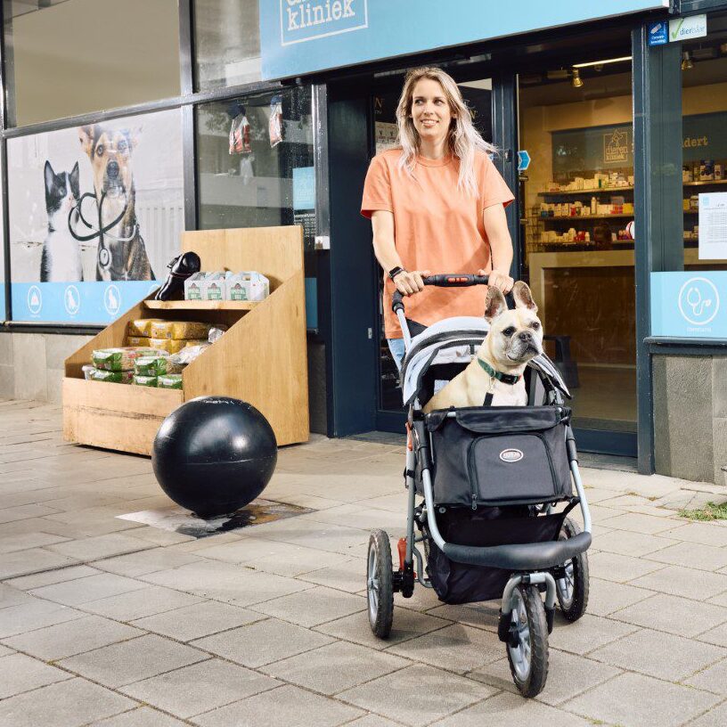 🐾 De Ultieme Hondenbuggy Gids: Banden, Onderhoud + Tweedehands Tips