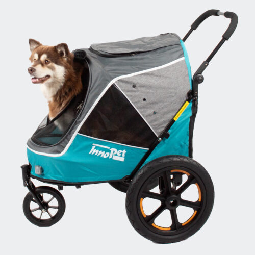 innopet-sporty-evolution-ocean-blue-hondenfietskar-productofot-met-hond