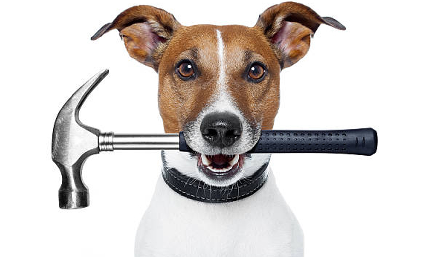 Pet Stroller Maintenance