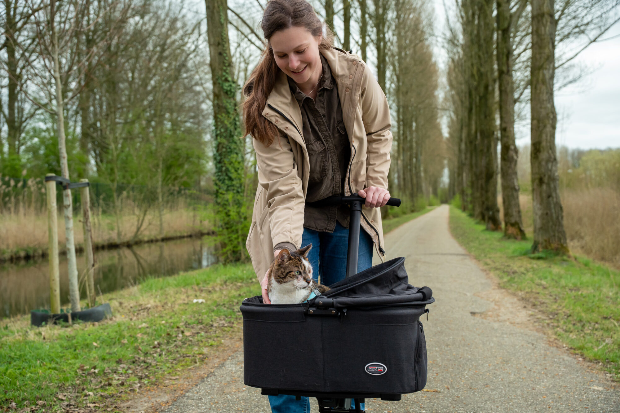 5 Reasons your cat deserves a pet stroller