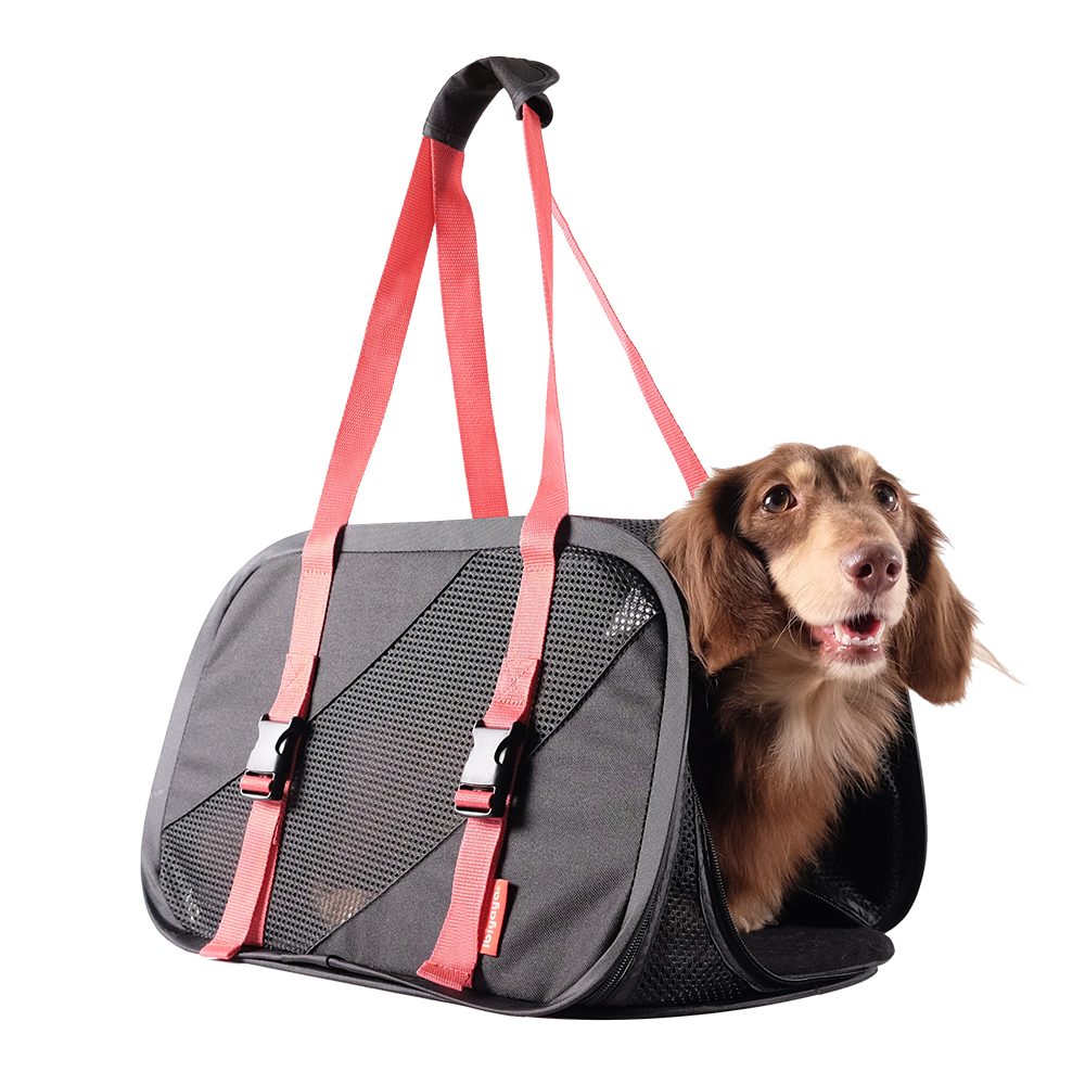 Ibiyaya Flying Pal Foldable Pet Travel Carrier – Airline Approved Cat & Small Dog Carrier Red Black
