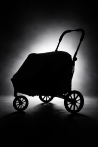 A new dog stroller by InnoPet