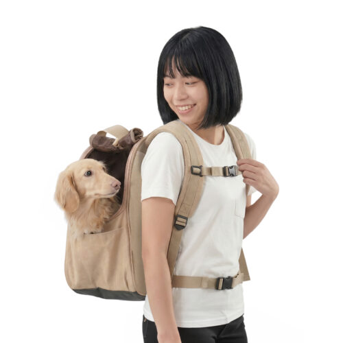 FC2462-NEW-1000-26