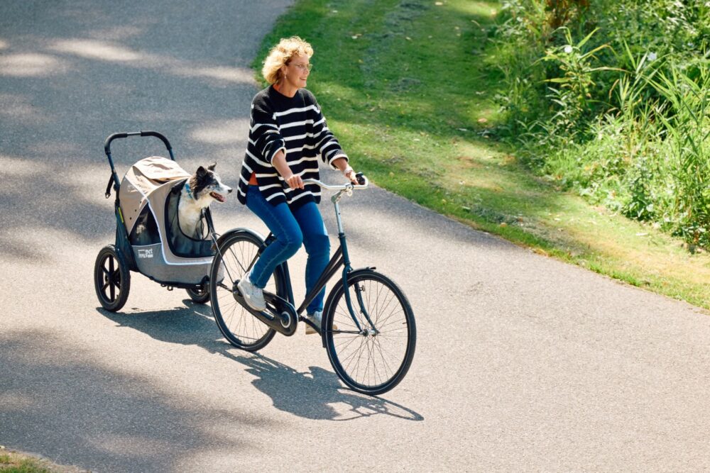 innopet-dog-bike-trailer-sporty-evolution-latte-female-commuting-with-border-collie