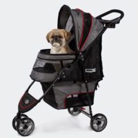 Shih Tzu small dog in dog stroller InnoPet Avenue in colour grey with red