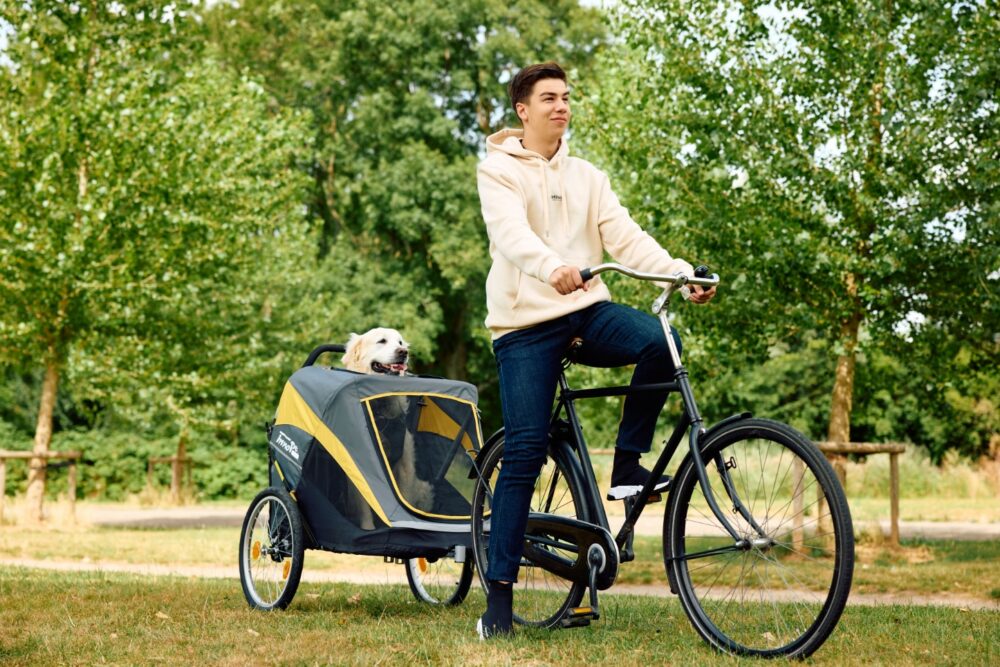 innopet-dog-bike-trailer-hercules-labrador-commuting-park