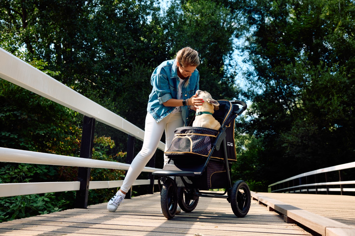 innopet-dog-pram-adventure-black-gold-french-bulldog-outside