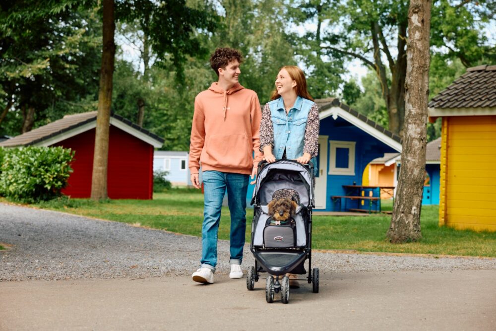 innopet-dog-pram-all-terrain-small-dog-young-couple-holiday-walking