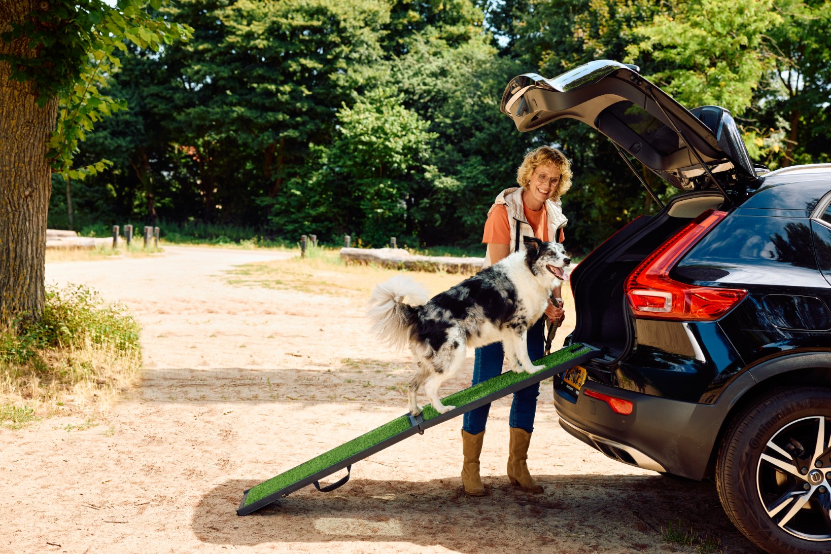 This is how to travel everywhere with your faithful four-legged friend