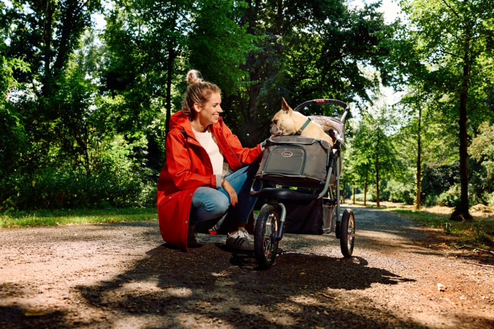 innopet-hondenbuggy-comfort-air-eco-franse-bull-bos-3