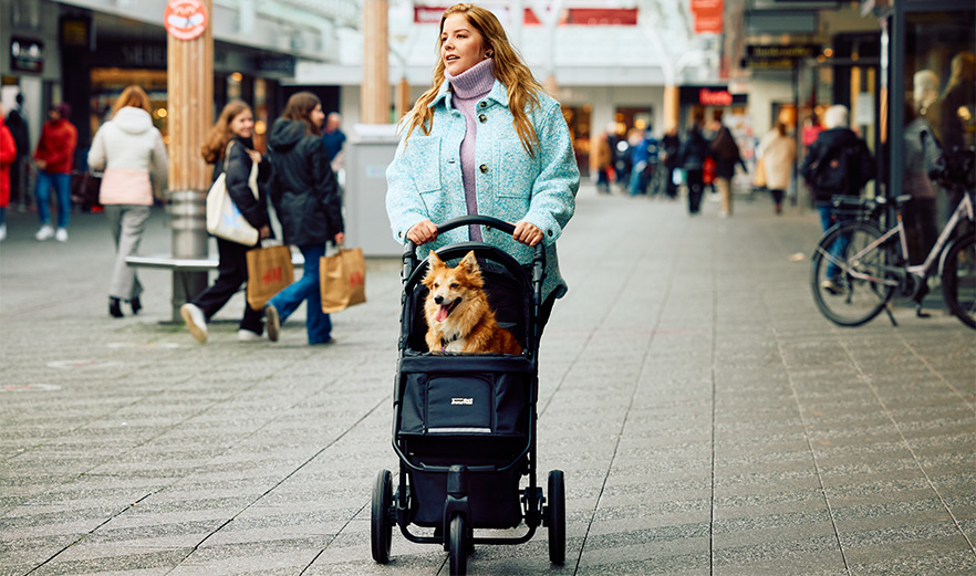 Mobility issues in dogs; when walking is not a given