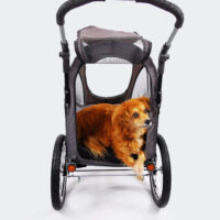 Dog on an orthopedic cushion in a dog pram