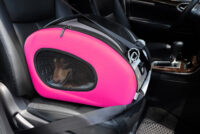 Ibiyaya 5-in-1 dog car seat pet car booster