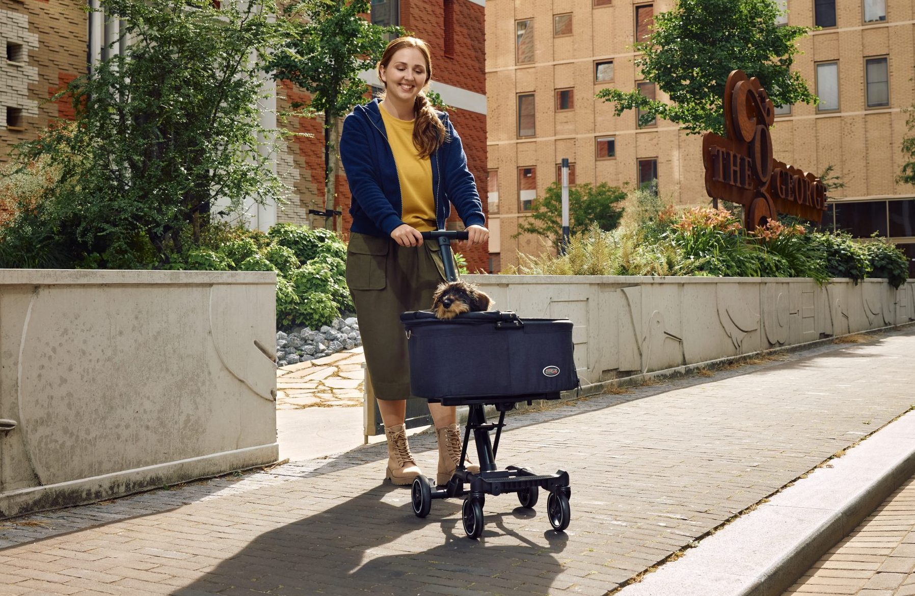 The 9 best dog strollers for your vacation