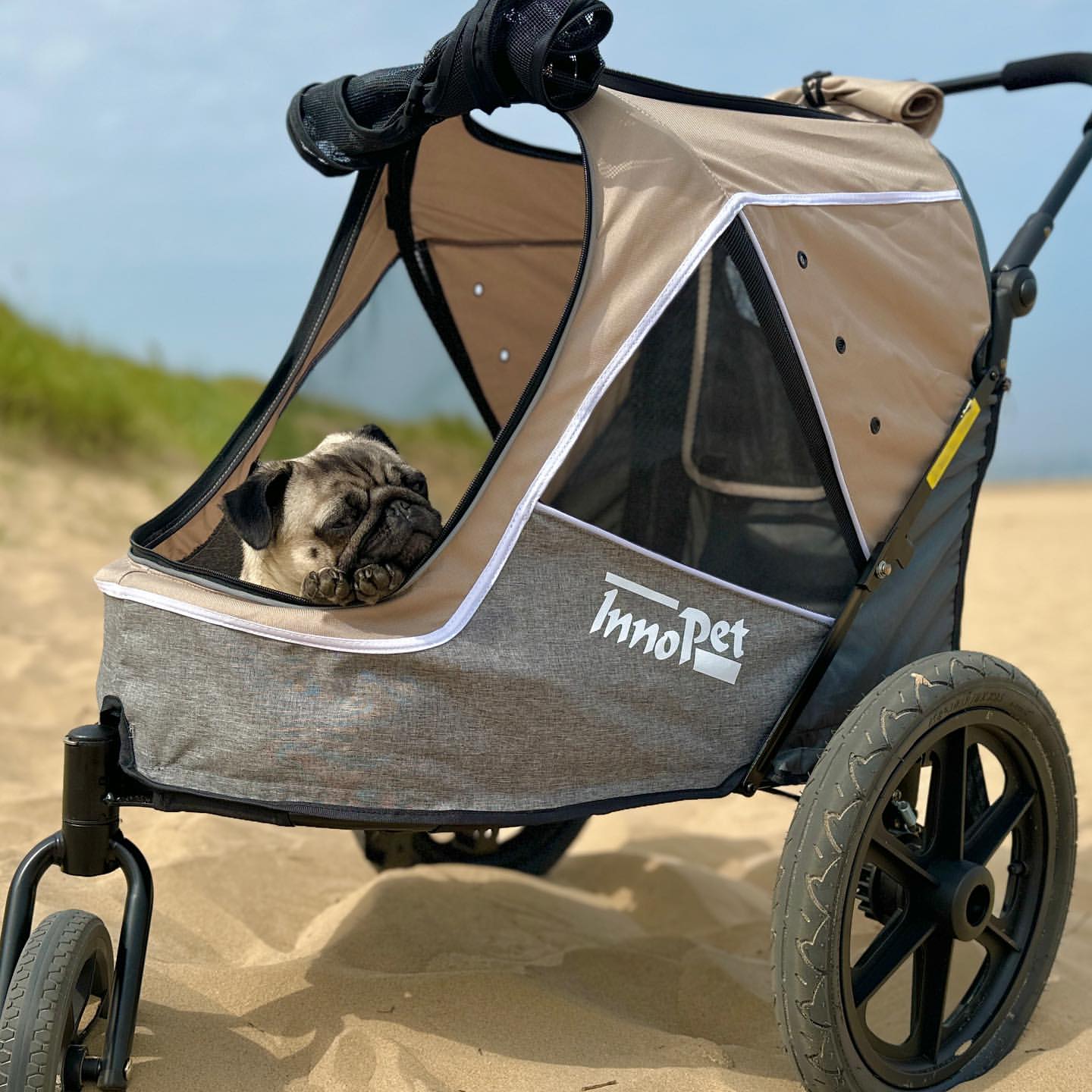 Taking your dog stroller on the beach