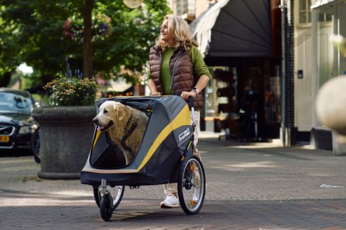 Dog prams