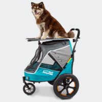 InnoPet Evolution dog trailer with grooming table included. Dog pram for dog shows colour blue and grey