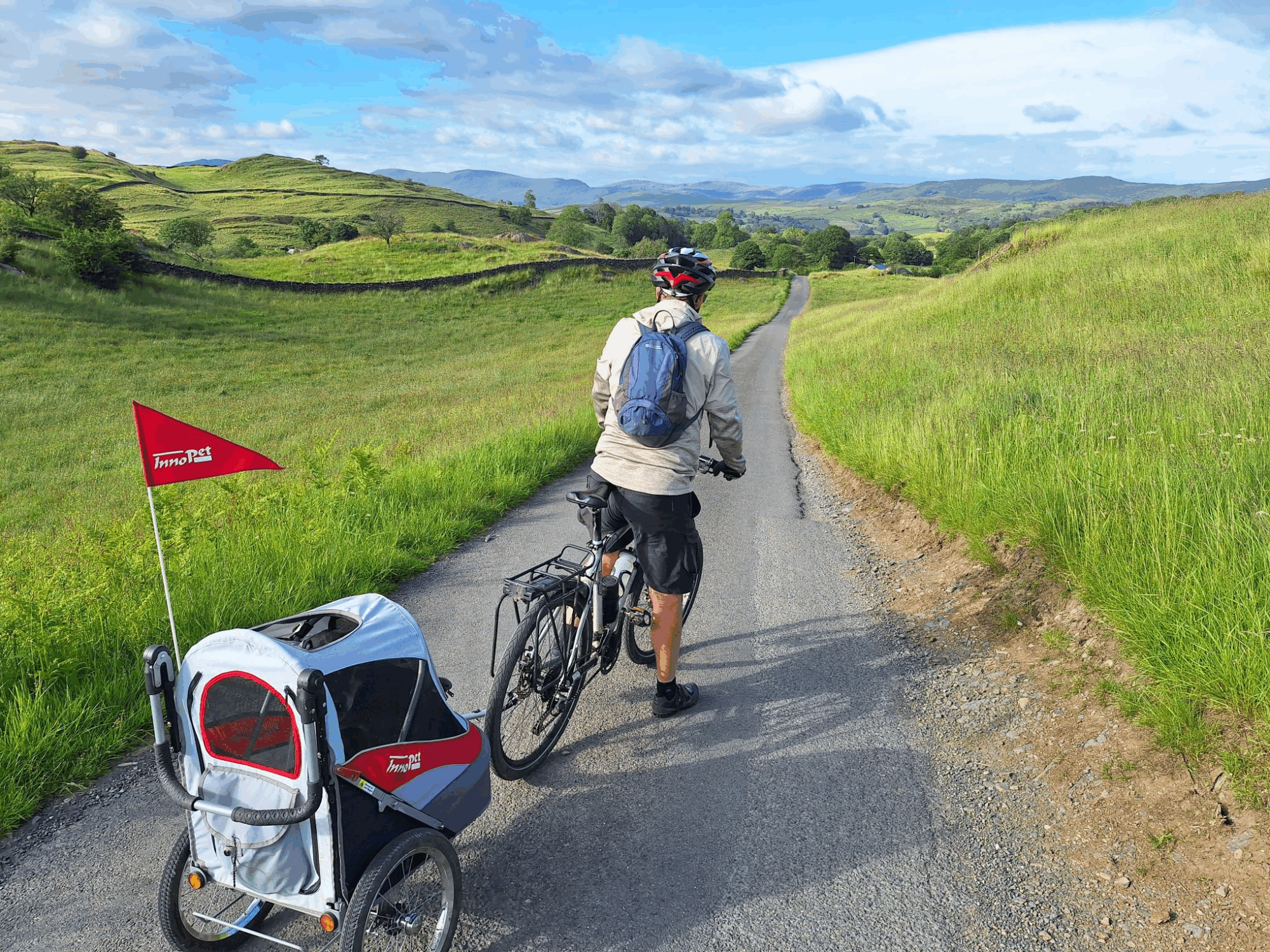 Choosing the ideal dog bike trailer for your dog in 5 steps