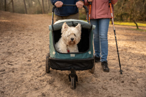 Dog prams