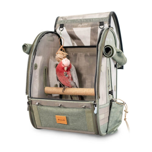 Ibiyaya Medium Trackpack for Birds